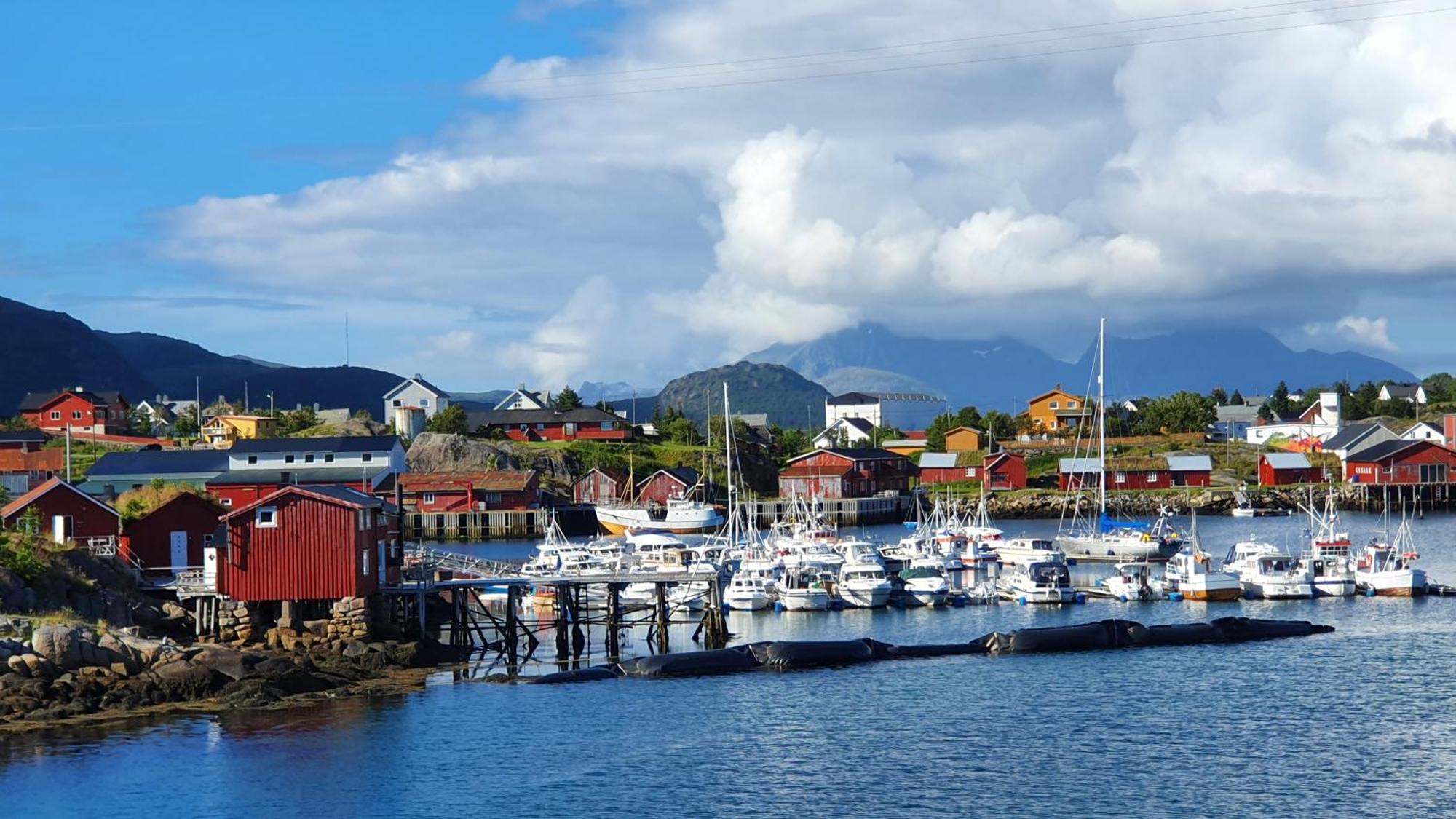 Lofoten Seaside Ballstad Zewnętrze zdjęcie